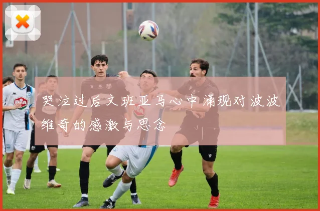 哭泣过后文班亚马心中涌现对波波维奇的感激与思念