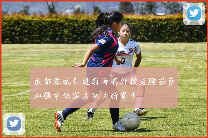 成都蓉城引进前海港外援后腰茹萨加强中场实力助力新赛季