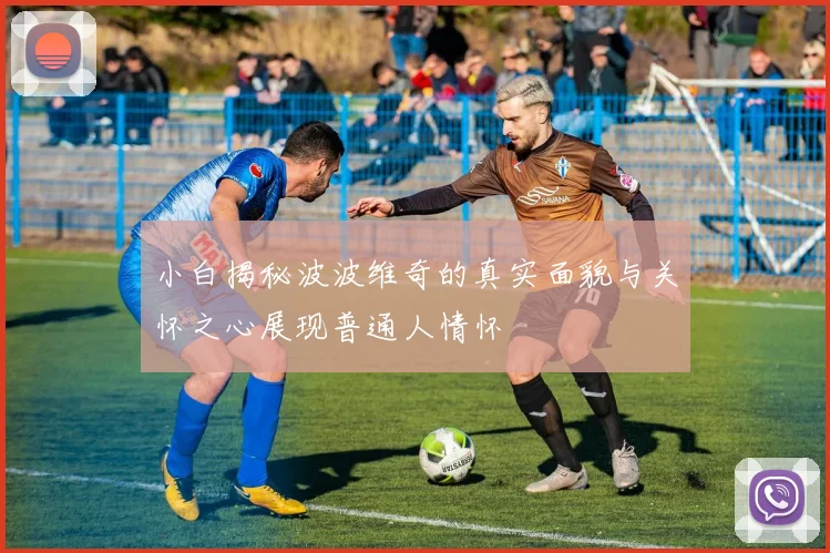 小白揭秘波波维奇的真实面貌与关怀之心展现普通人情怀